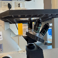 Nikon Eclipse TS100 Inverted microscope image 1